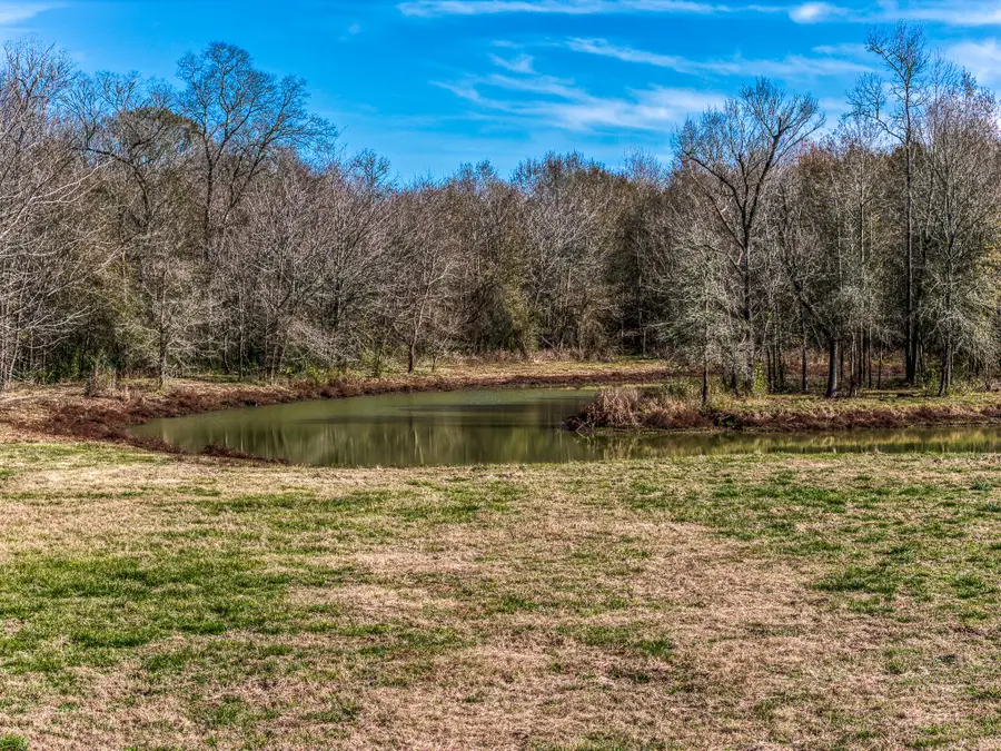 5280 Whitaker Way, Anderson, TX 77830 - #2