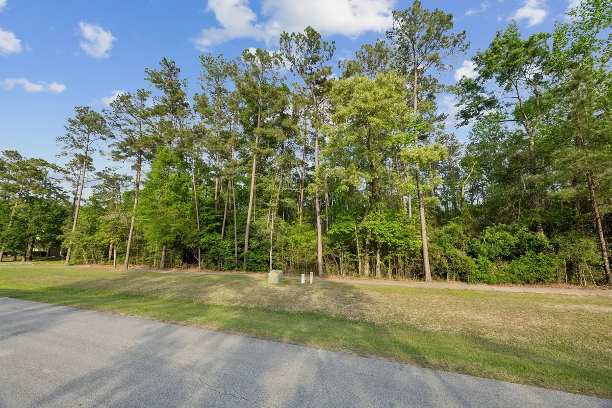 27322 Whispering Maple Way, Southeast Montgomery, TX 77386 - Image #1