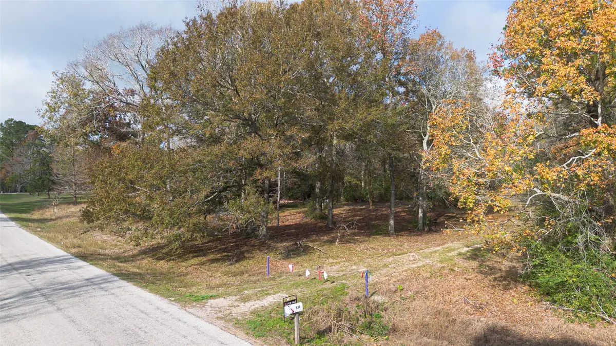 531 County Road 4882 S, Dayton, TX 77535 - #1