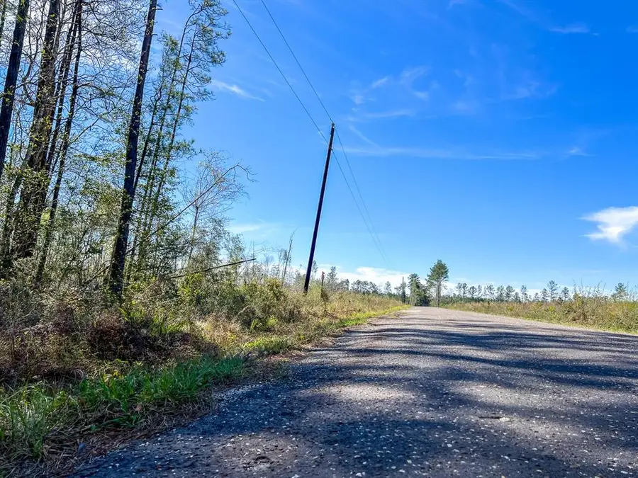 1 County Road 443, Kirbyville, TX 75956 - Image #2