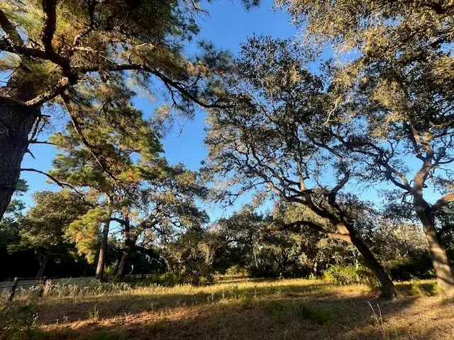 1311-B Alleyton Road, Columbus, TX 78934 - Image #1