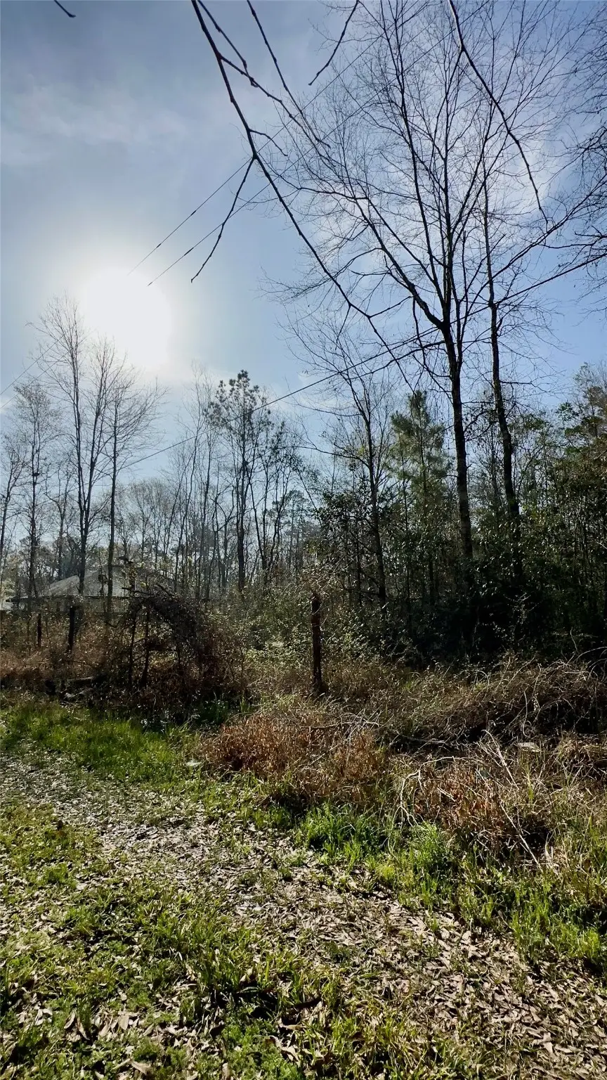 26992 Diamond C, Southeast Montgomery, TX 77372 - Image #2