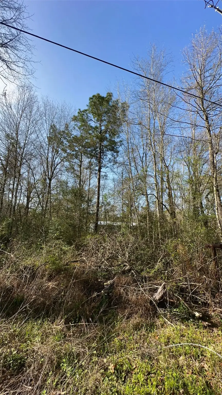 26992 Diamond C, Southeast Montgomery, TX 77372 - Image #3