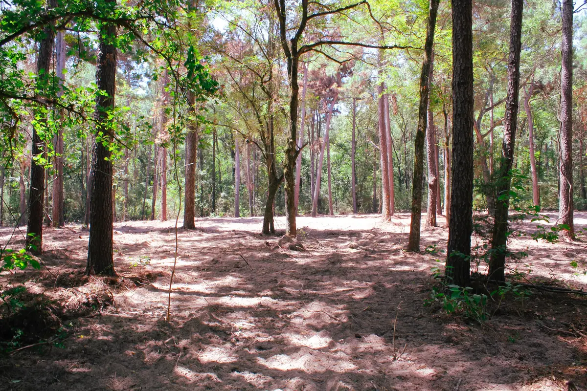66 AC Tanyard Church Lane, Midway, TX 75852 - #1