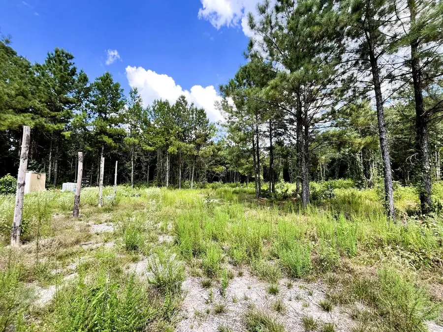 248 County Road 1047, Wiergate, TX 75977 - Image #2