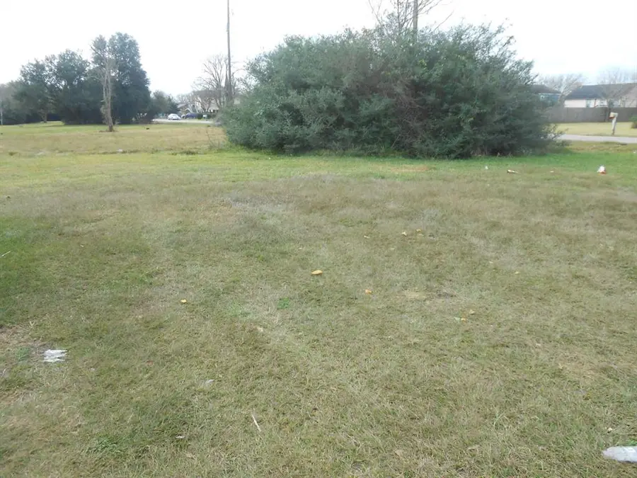 5900 Meadowbrook Street, Hitchcock, TX 77563 - Image #3