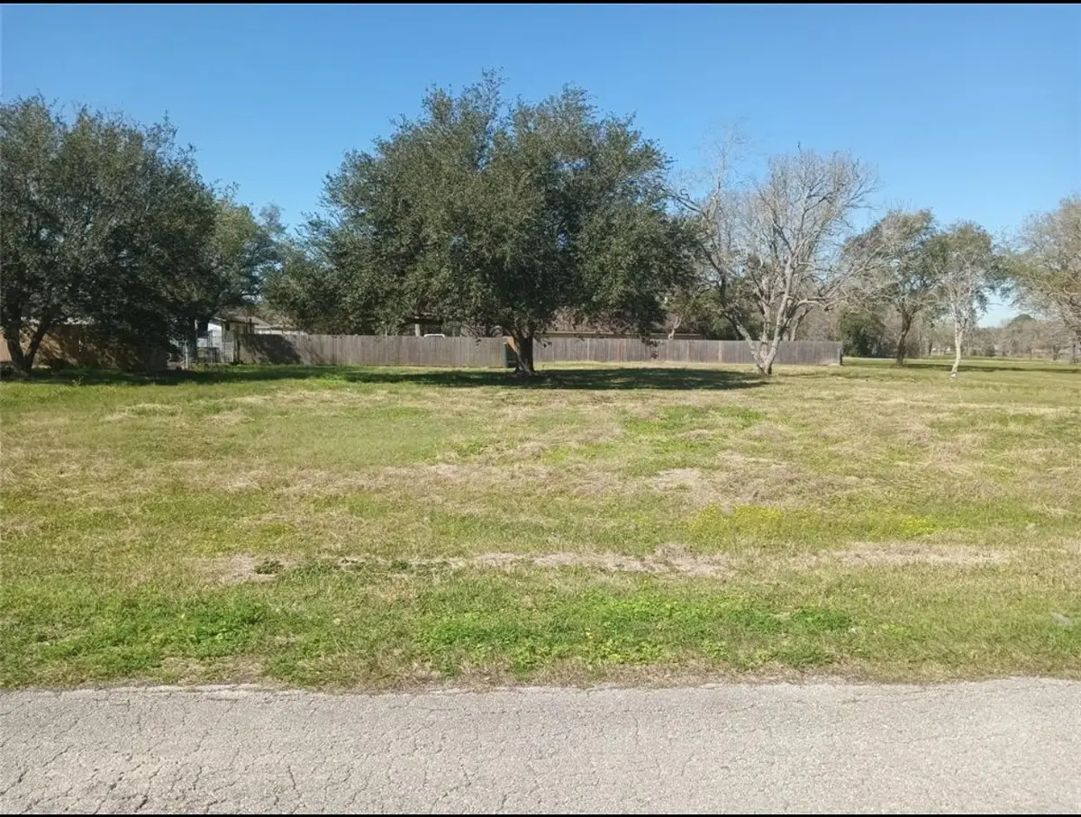 6902 Moore Road, Hitchcock, TX 77563 - Image #1