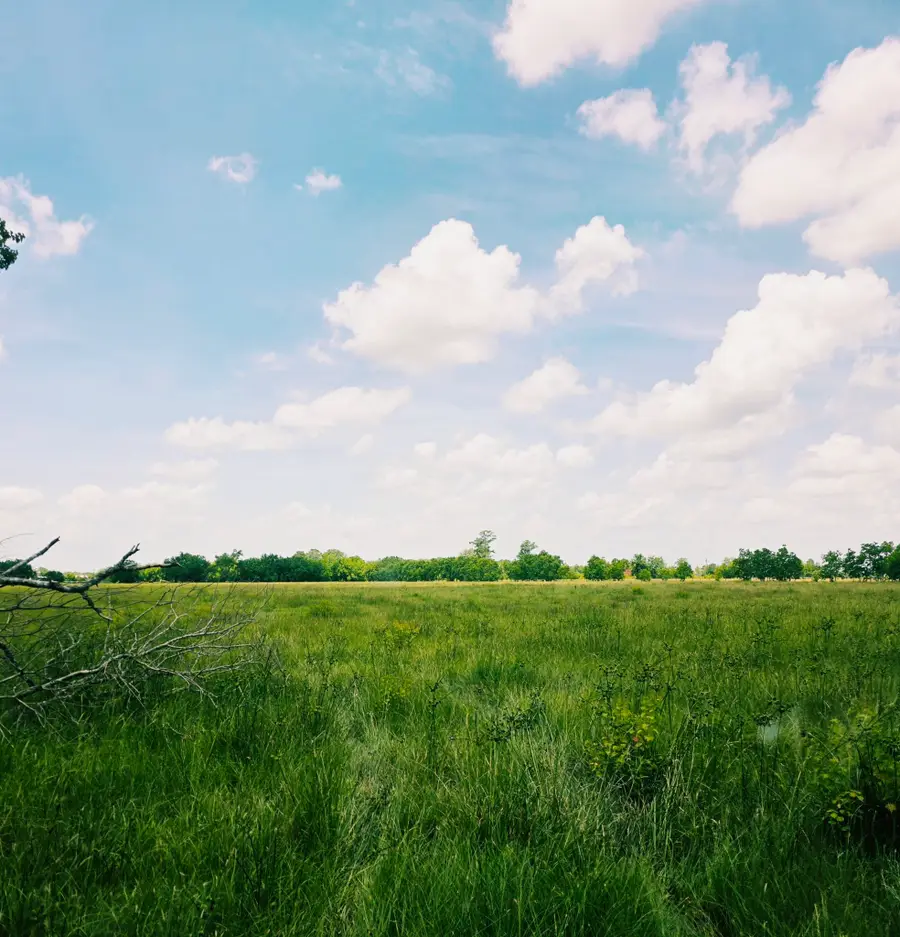 TBD County Road 6026, Dayton, TX 77535 - #2
