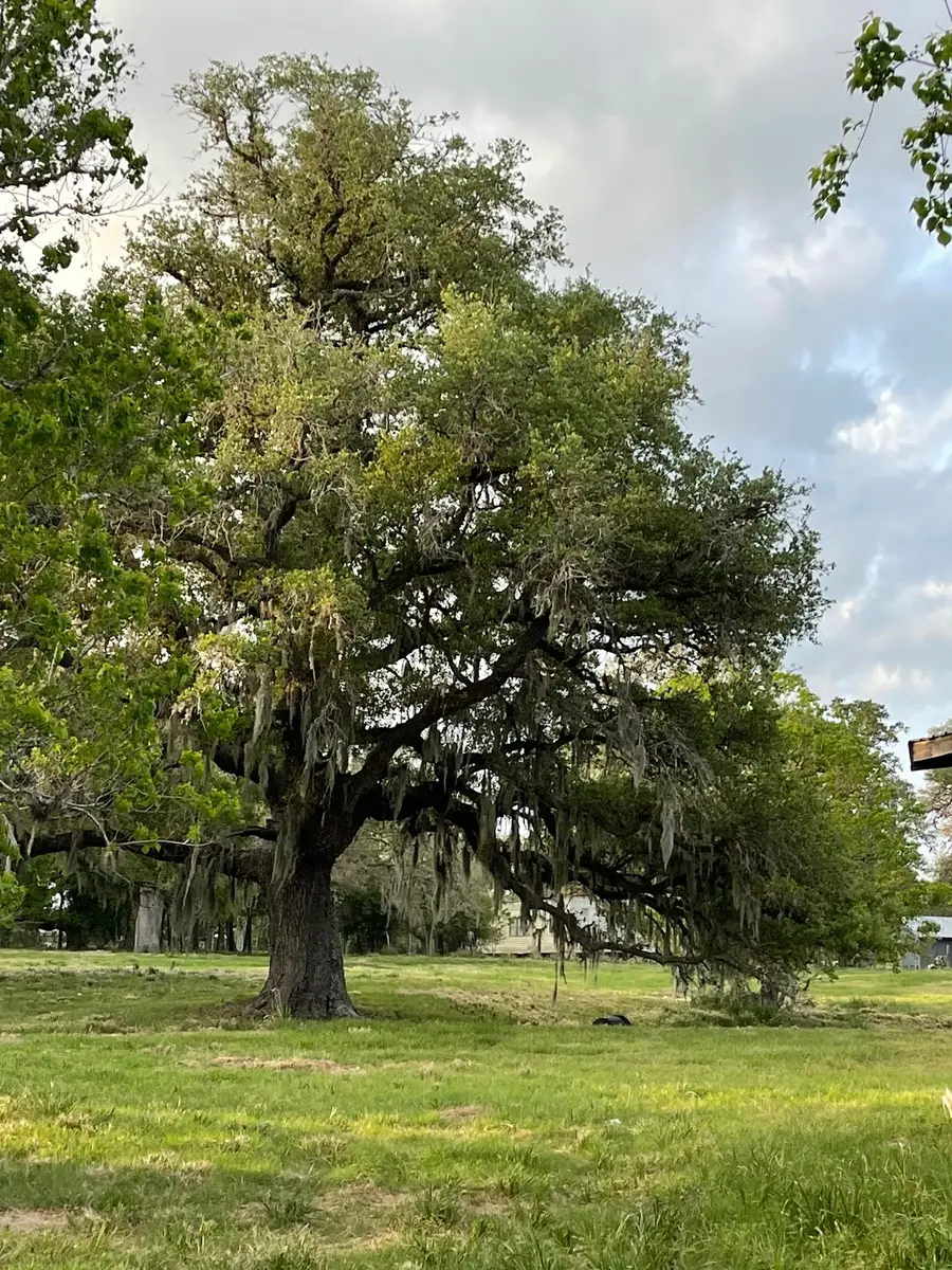 7462 County Road 284, Edna, TX 77957 - #2