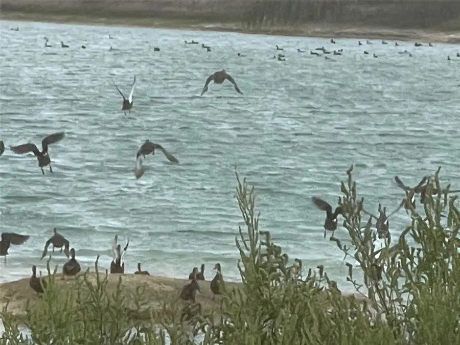 00 Hwy 73, Winnie, TX 77665 - Image #2