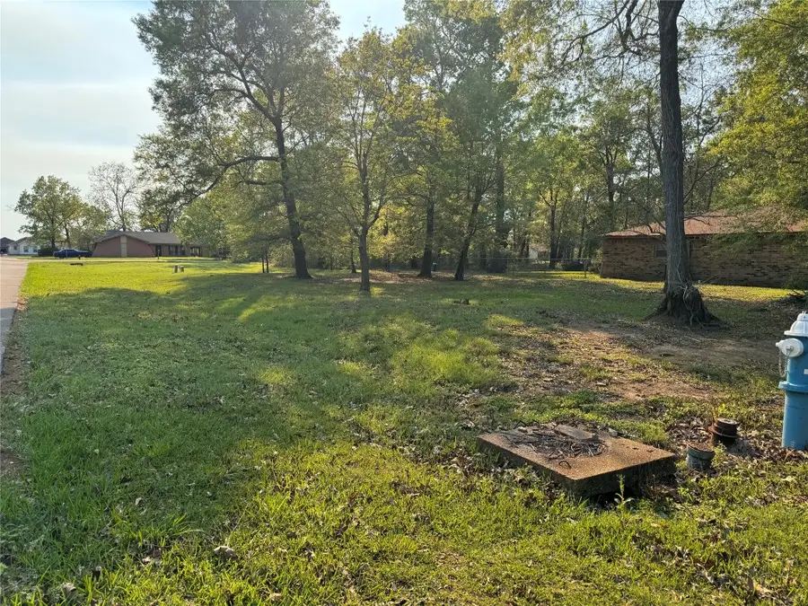 TBD Bending Oaks Lane, Livingston, TX 77351 - #3