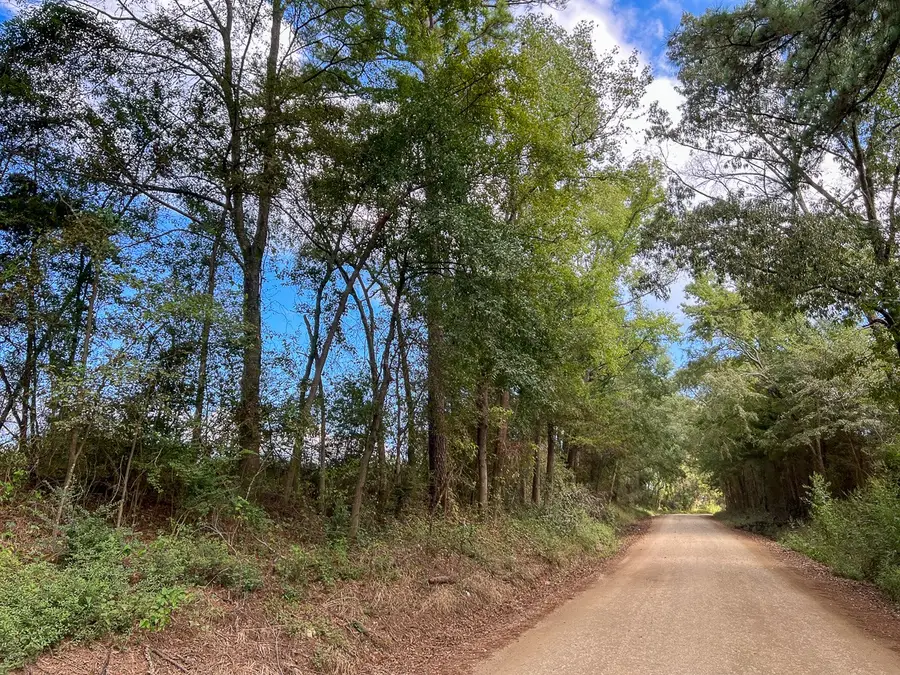 01 Cr 4916, Timpson, TX 75975 - Image #2