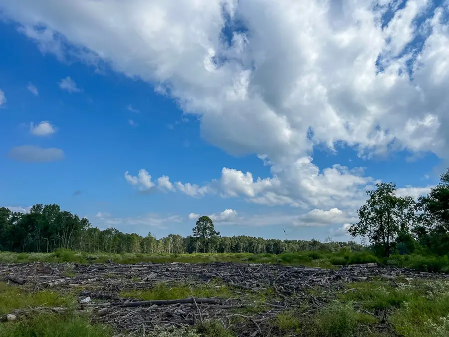 01 Cr 4916, Timpson, TX 75975 - Image #3