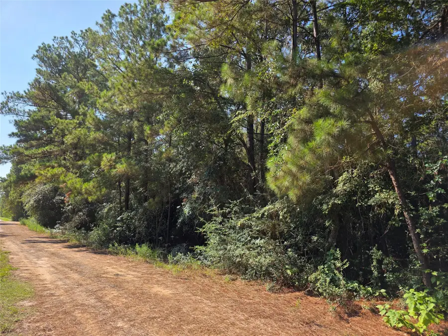0 Sweetleaf Lane, Plantersville, TX 77363 - Image #2