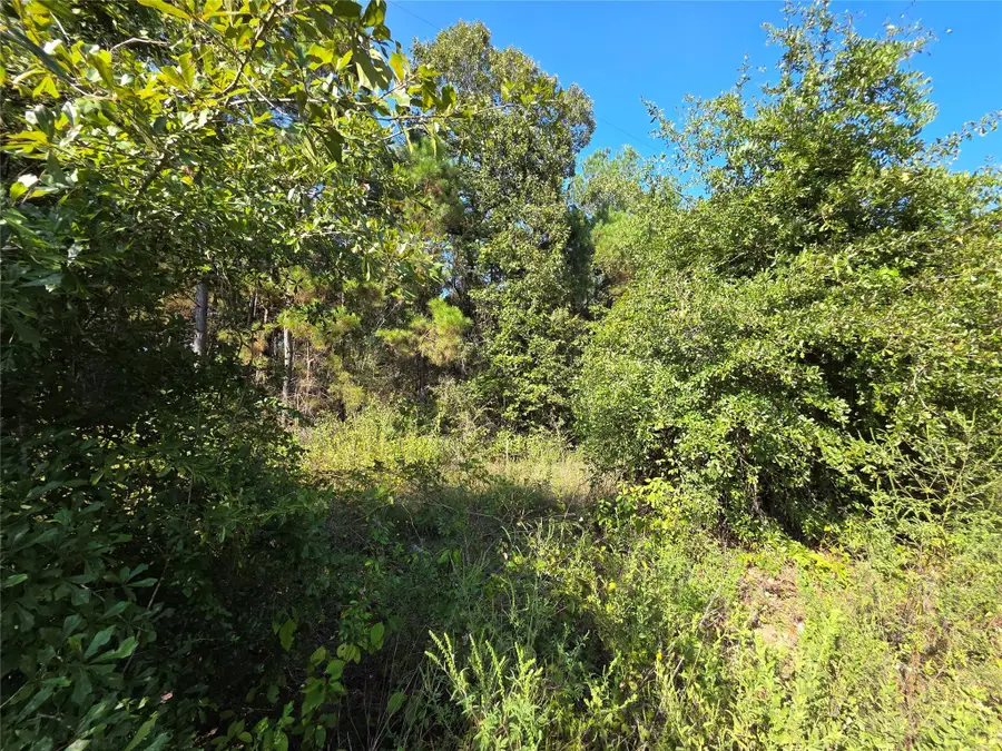 0 Sweetleaf Lane, Plantersville, TX 77363 - Image #3