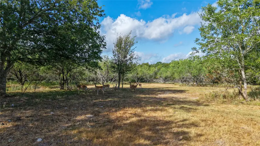 Tract 5 Tbd Mensik Rd, Bryan, TX 77808 - #3