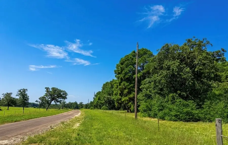 10AC Cr 261, Buffalo, TX 75831 - #2