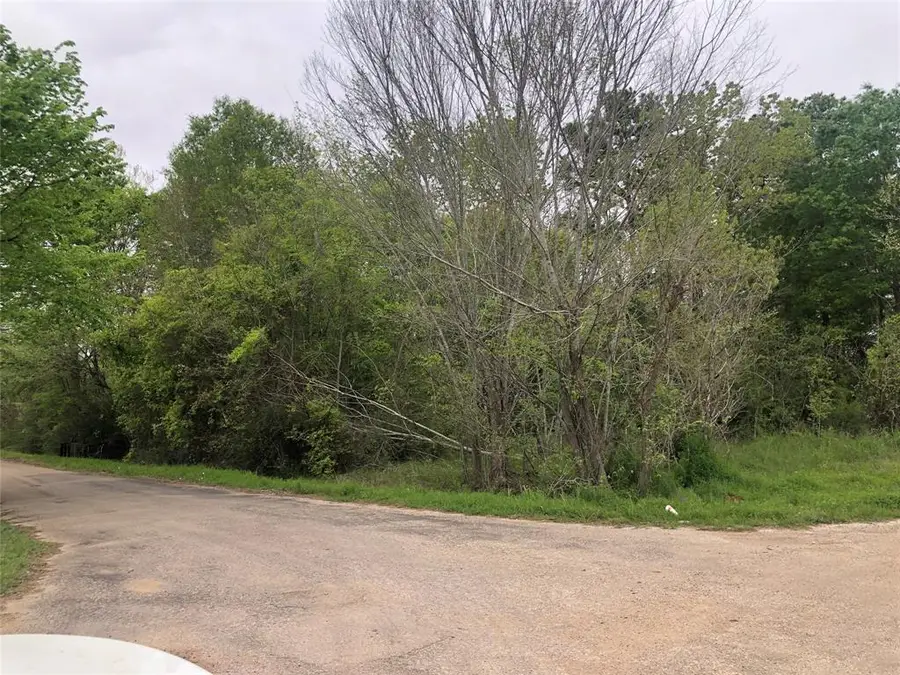 tbd Martin Luther King, Crockett, TX 75835 - #2