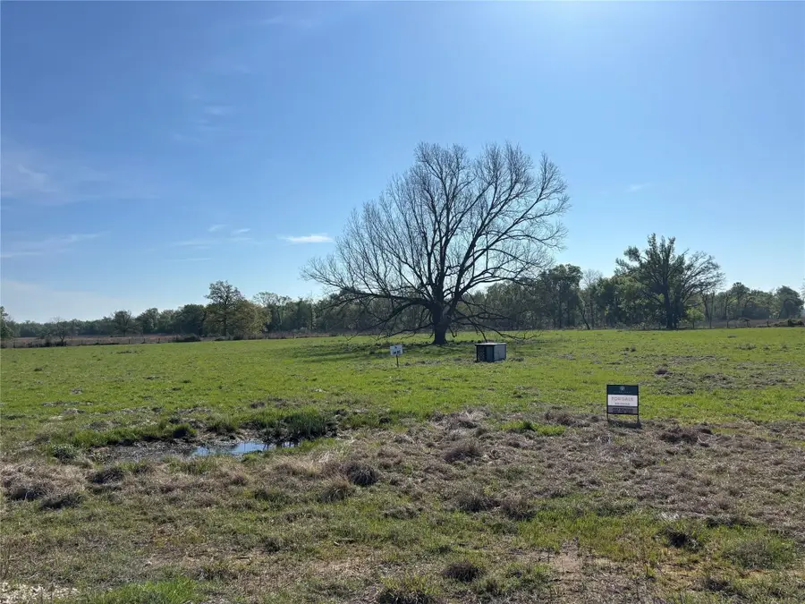 Lot 85 County Road 231, Centerville, TX 75833 - Image #3