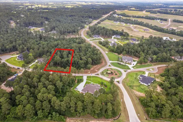 8713 Cedar Meadow Lane, Plantersville, TX 77363