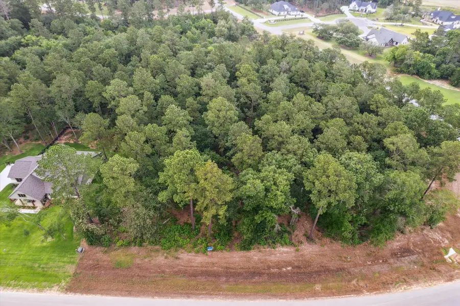 8713 Cedar Meadow Lane, Plantersville, TX 77363 - Image #2