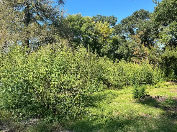 6627 County Road 924 Drive, Sweeny, TX 77480