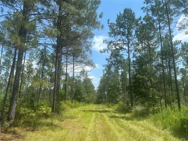 TBD Fm 1005, Jasper, TX 75951