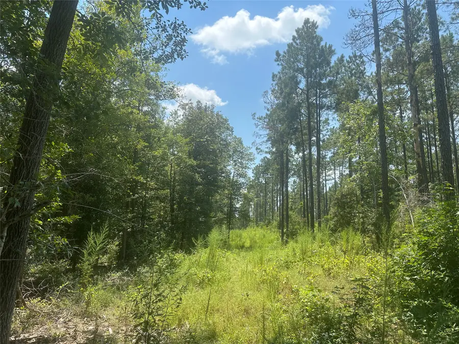 TBD Fm 1005, Jasper, TX 75951 - #2