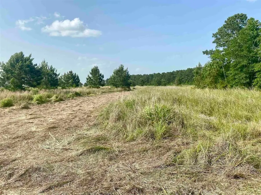 27480 Hwy 365 Road, Beaumont, TX 77705 - #3