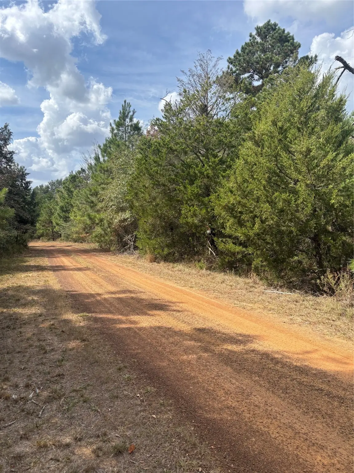 LOT#12 Deerwood Lakes, Hempstead, TX 77445 - #1