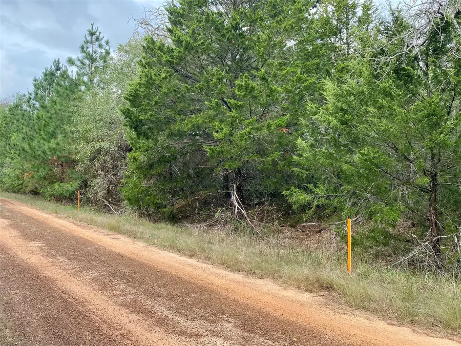 LOT#12 Deerwood Lakes, Hempstead, TX 77445 - #2
