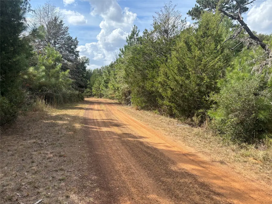 LOT#12 Deerwood Lakes, Hempstead, TX 77445 - #3