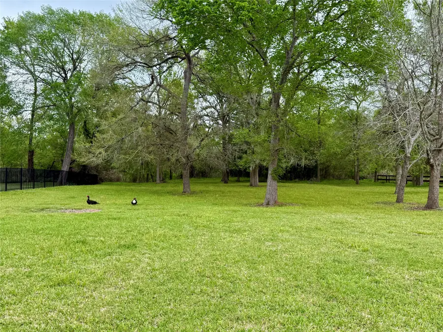 32915 Whitburn Trail, Fulshear, TX 77441 - Image #3