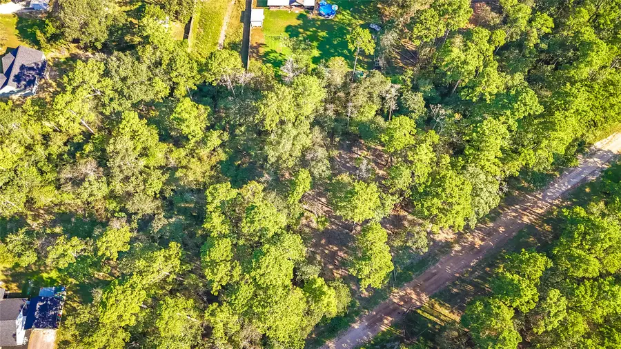 TBD Summer Place, Livingston, TX 77351 - #3