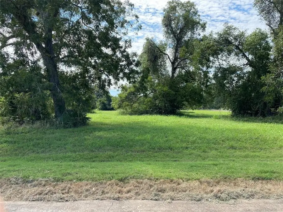 106 Horse Shoe Trail, Angleton, TX 77515 - #2