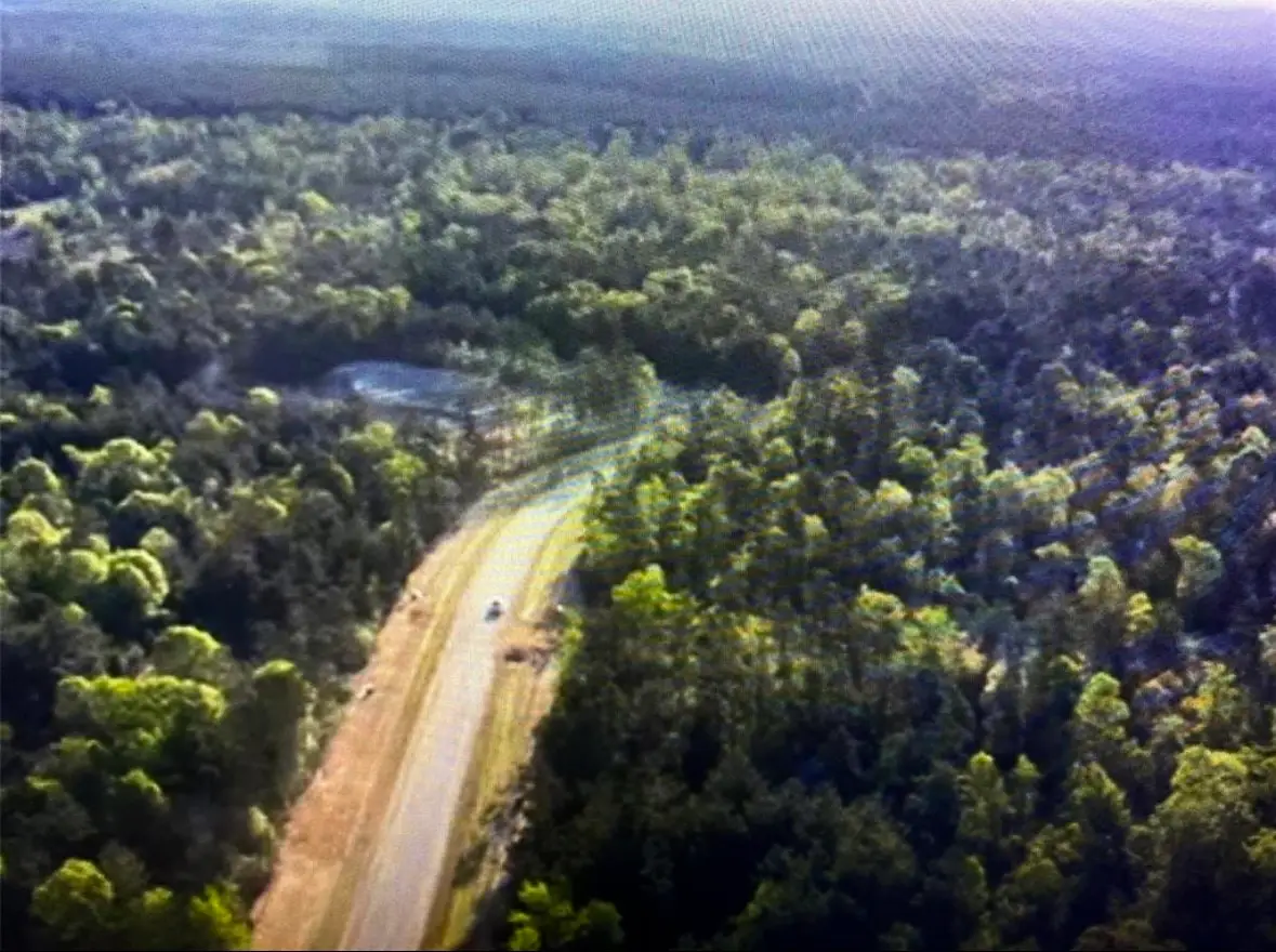 15629 Forest Knoll Road, Willis, TX 77378 - #1