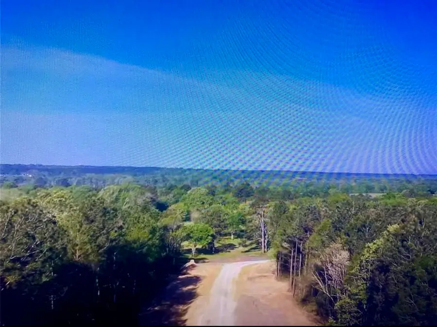 15629 Forest Knoll Road, Willis, TX 77378 - #3