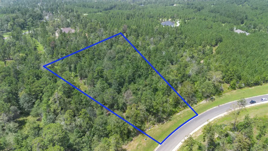 12056 High Branch Way, Willis, TX 77378 - Image #2