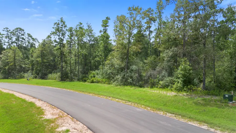 12056 High Branch Way, Willis, TX 77378 - Image #3