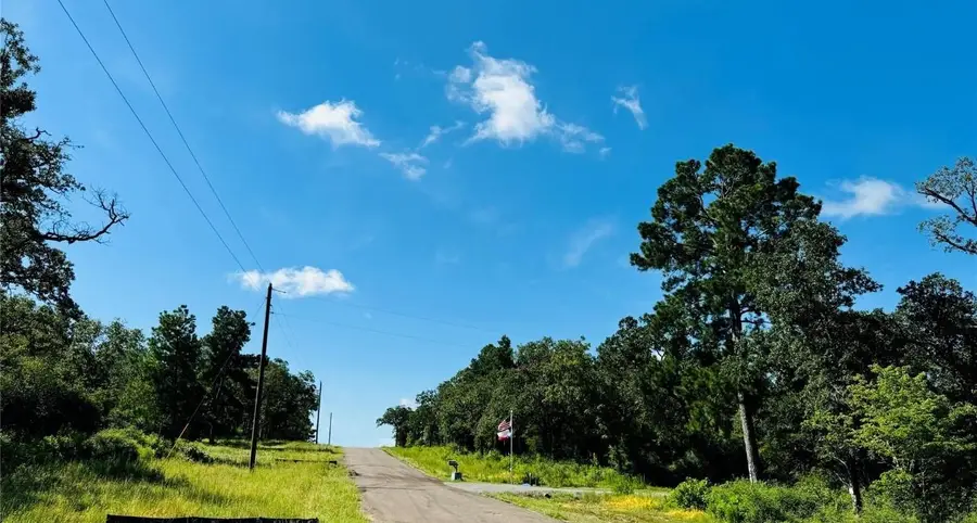 TBD Tract 10 County Road 2925, Buffalo, TX 75831 - Image #2