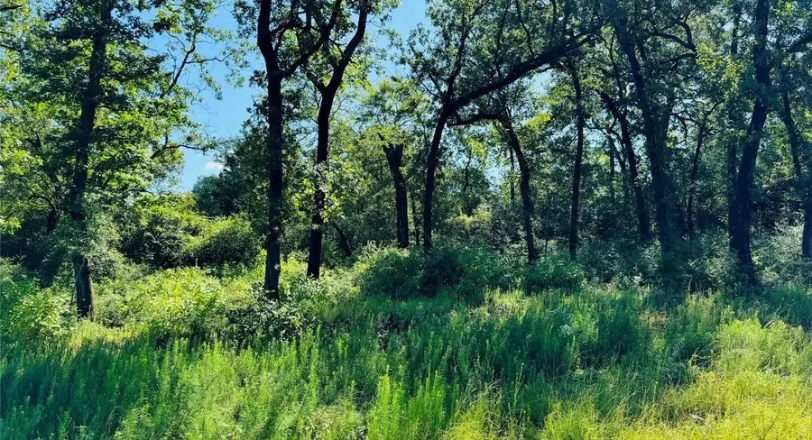 TBD Tract 10 County Road 2925, Buffalo, TX 75831 - Image #3