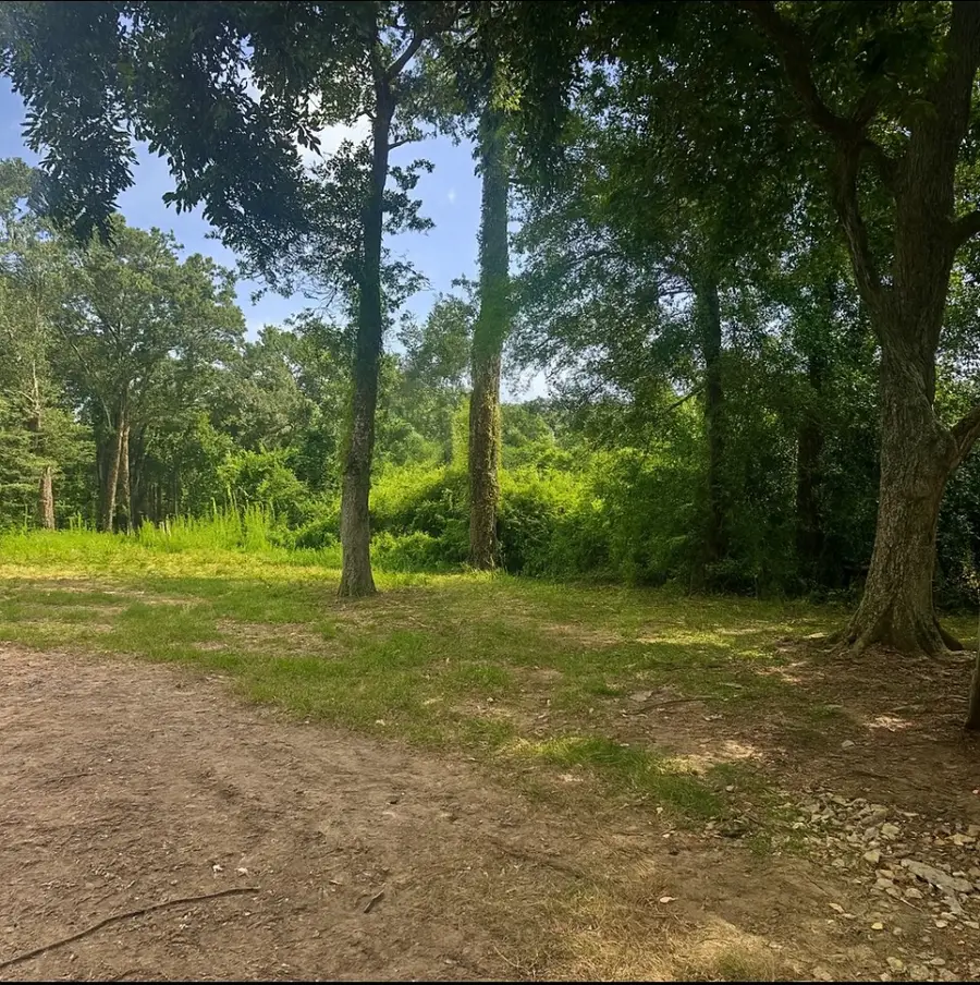 23850 S Wildwood Road, Porter, TX 77365 - Image #3