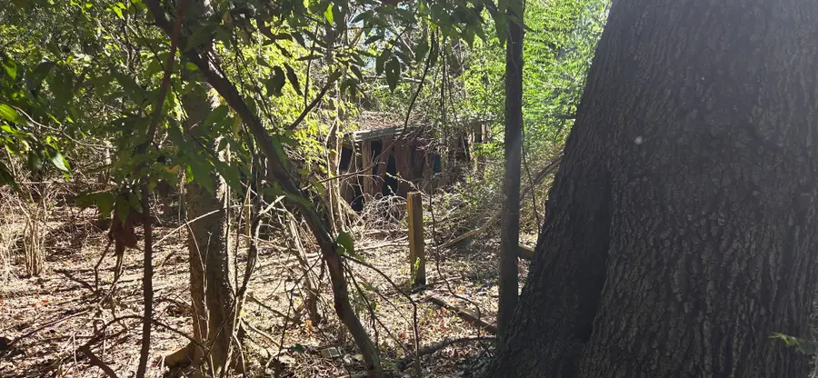 TBD Keller, Livingston, TX 77351 - Image #2