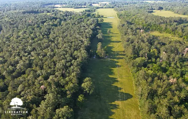 TBD John Warren Lot 6 Road, Coldspring, TX 77331