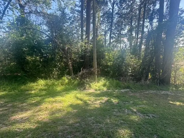 TBD Evergreen Circle, Point Blank, TX 77364 - #3