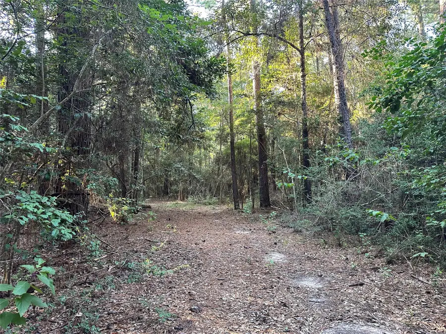 910 County Road 1520, Warren, TX 77664 - Image #3