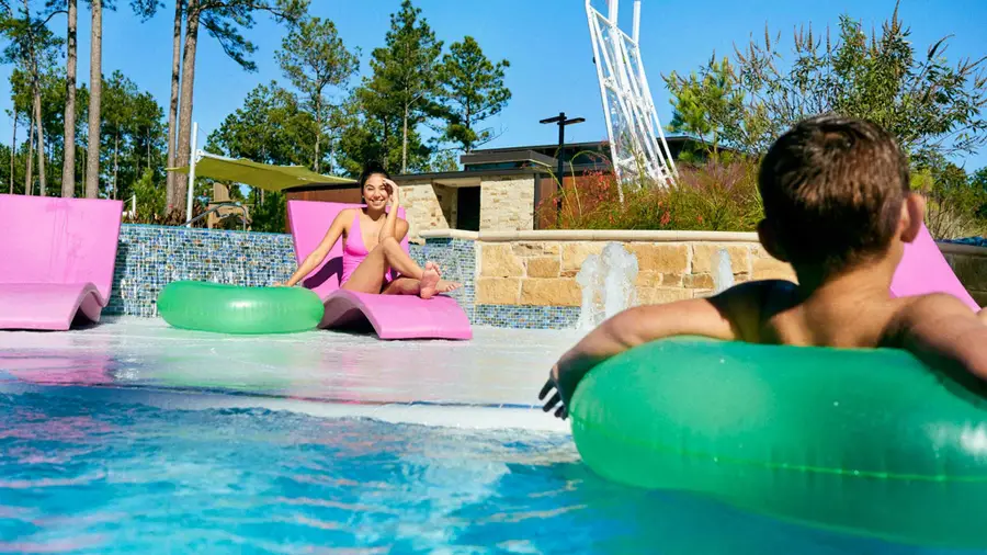 251 Mallards Rim Drive, Willis, TX 77318 - #3