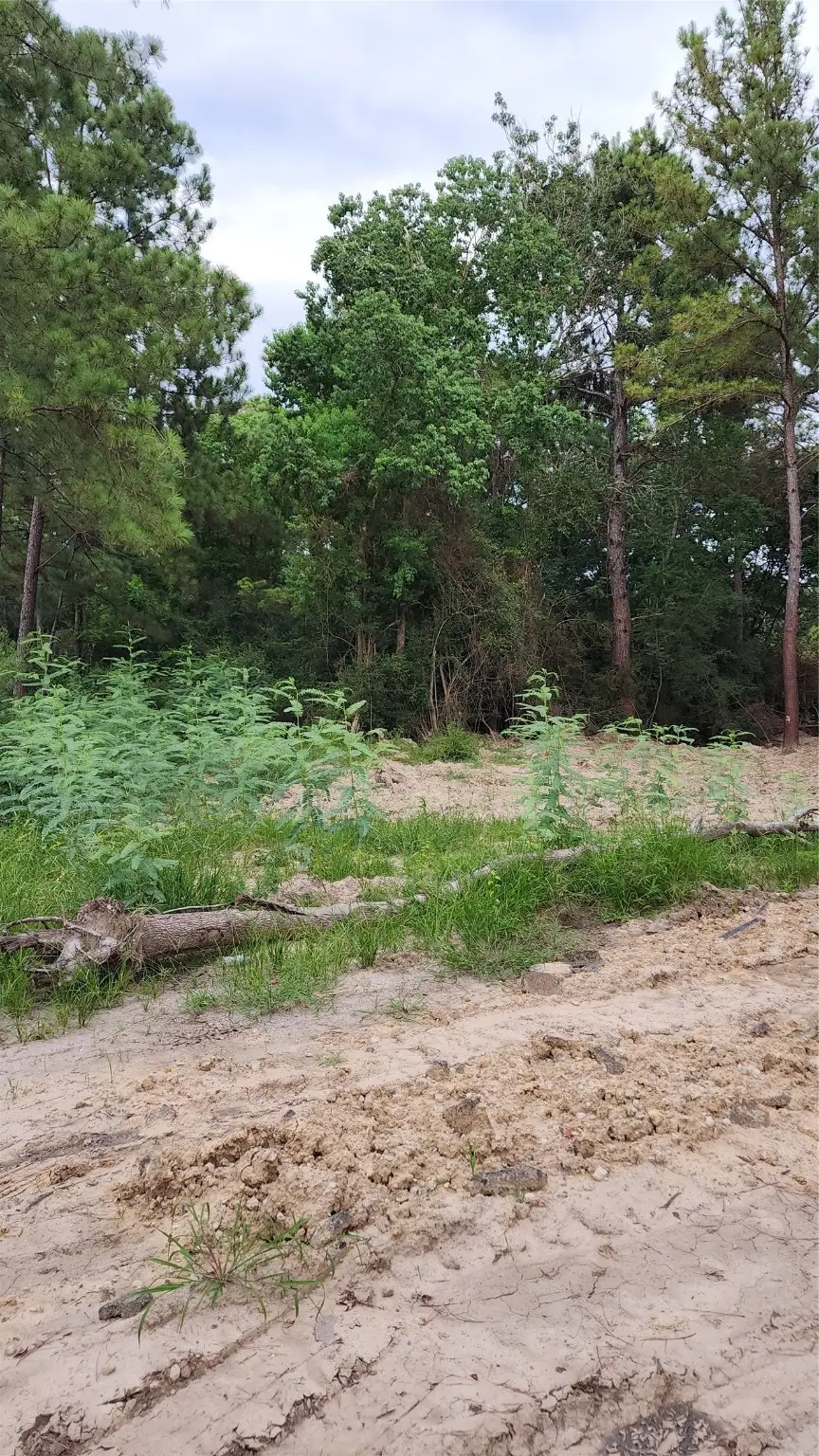 TBD /0 W Hardy Road, Houston, TX 77073 - Image #2
