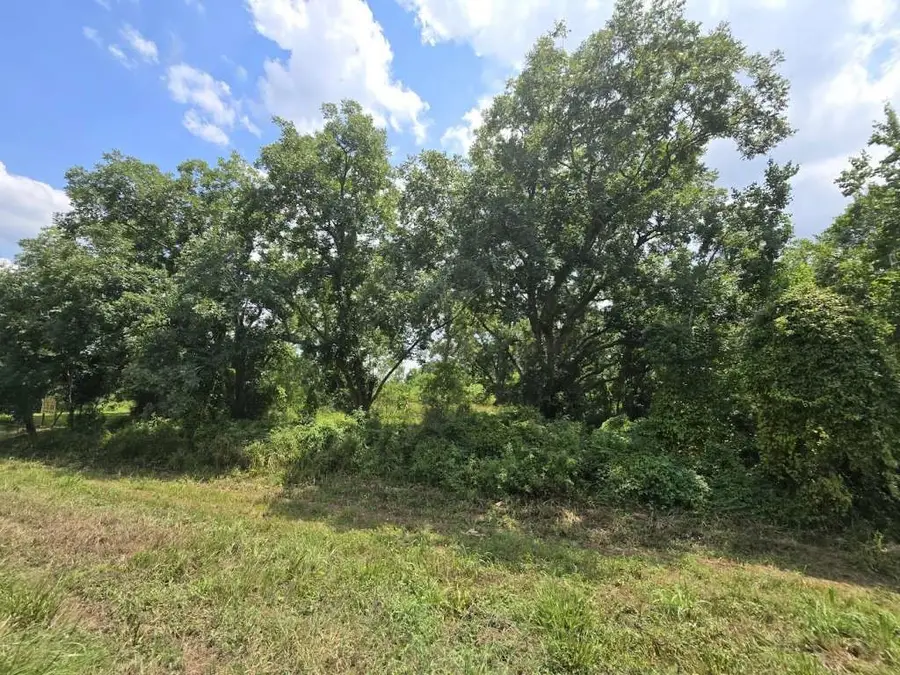 15208 Us Hwy 90 Tract 1, Devers, TX 77538 - Image #2
