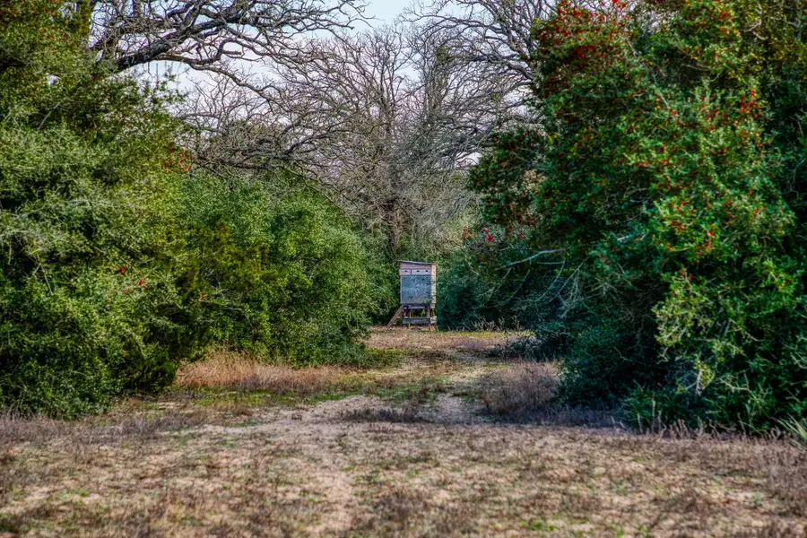 384 Paint Creek Road, McDade, TX 78650 - Image #3